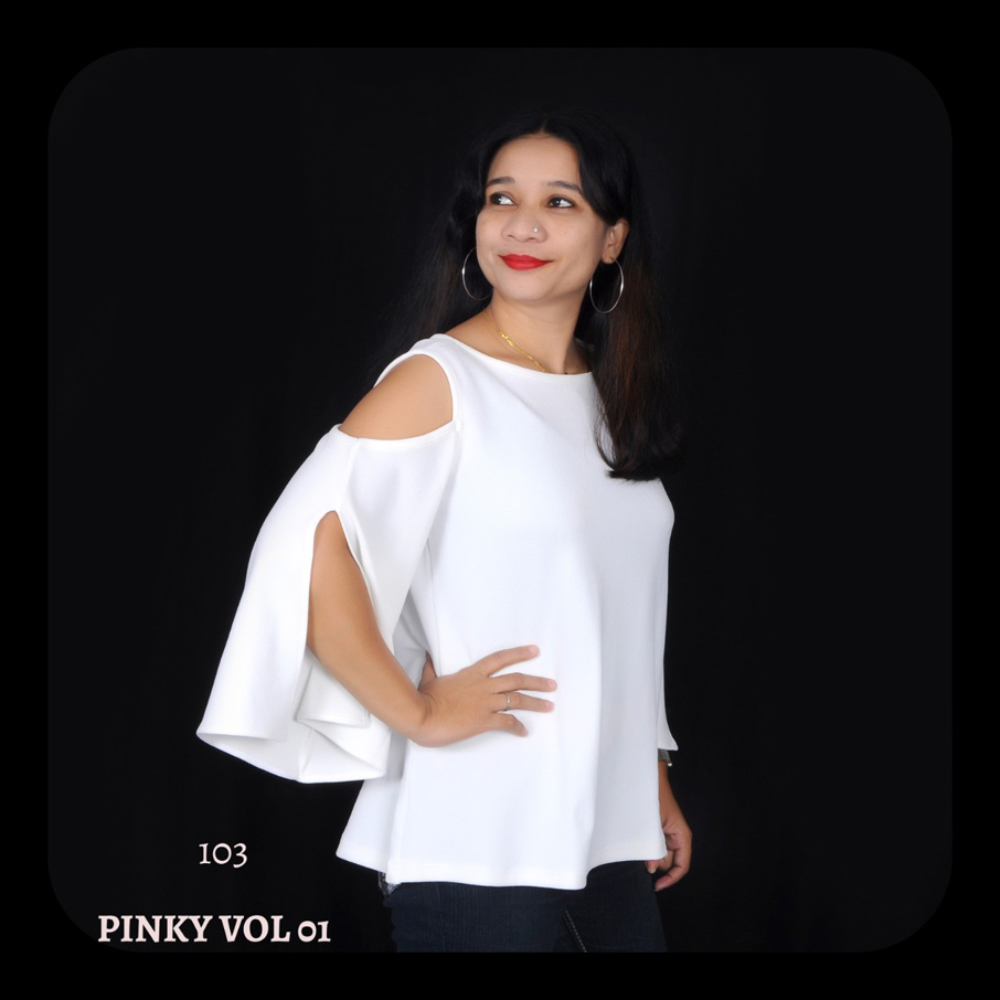 Pinky Vol-1 Designer Tops Catalogue Garment Pinky Vol-1 Designer Tops Catalogue Garment